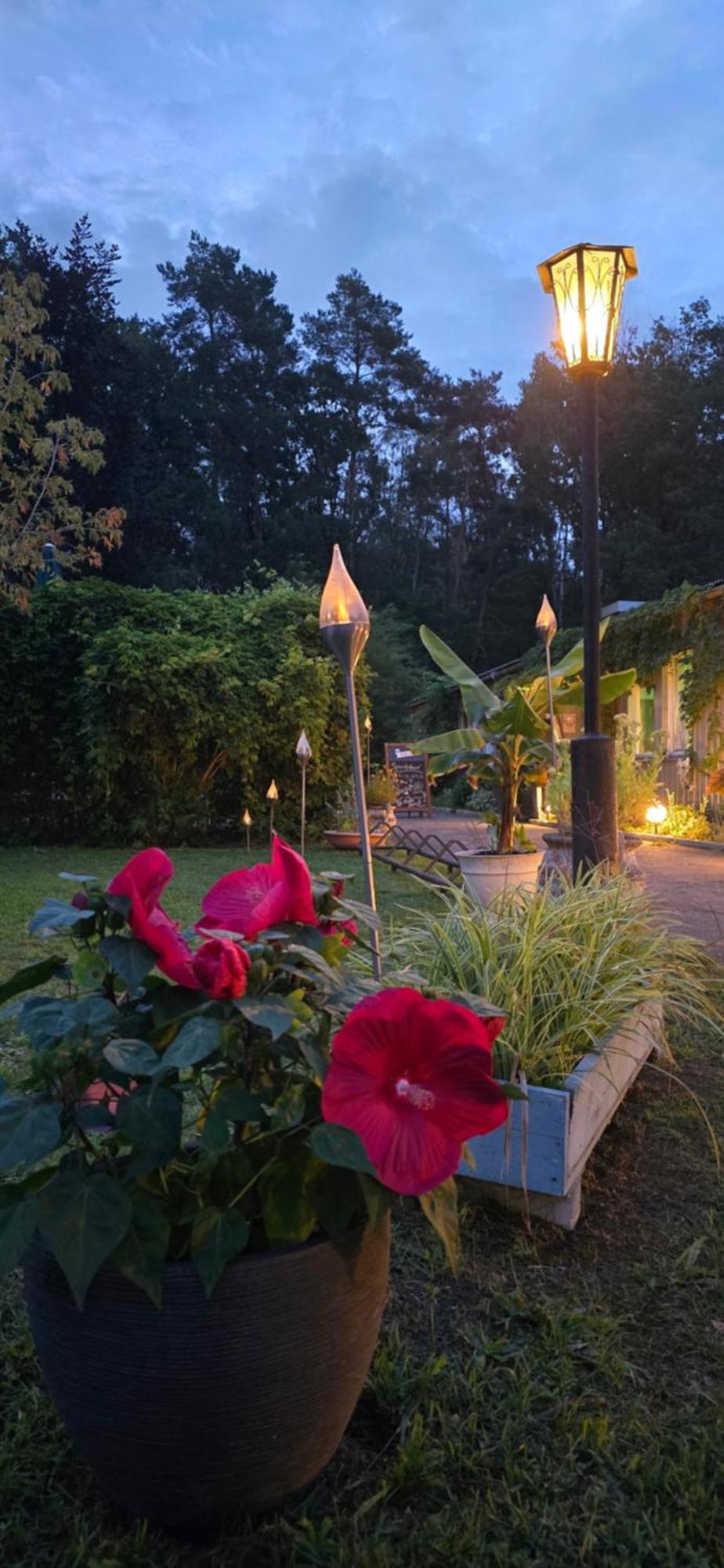 Waldpension Gussow Heidesee Exteriör bild