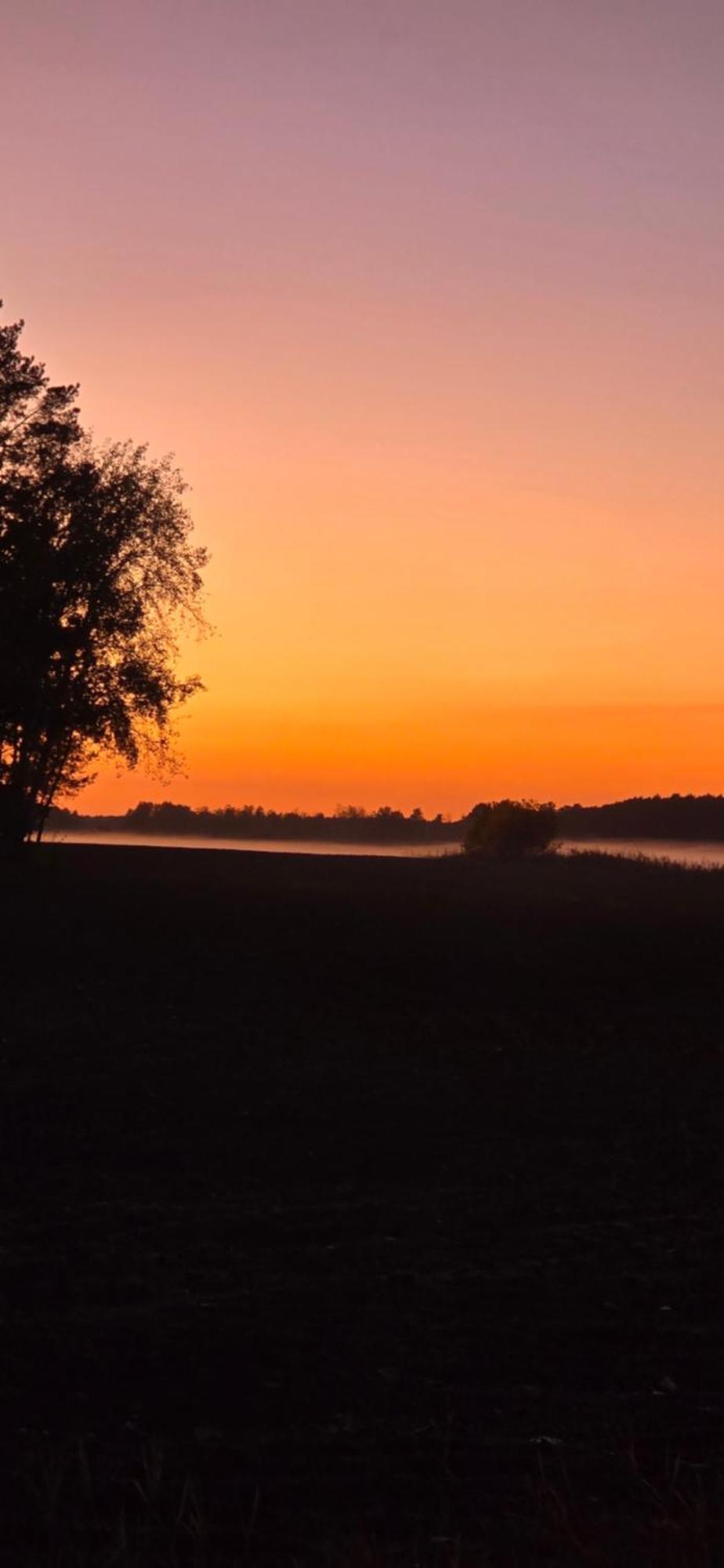 Waldpension Gussow Heidesee Exteriör bild